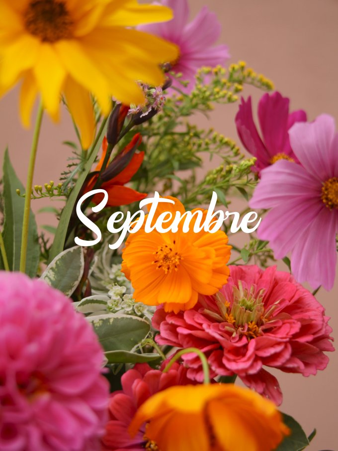 Fleurs de septembre